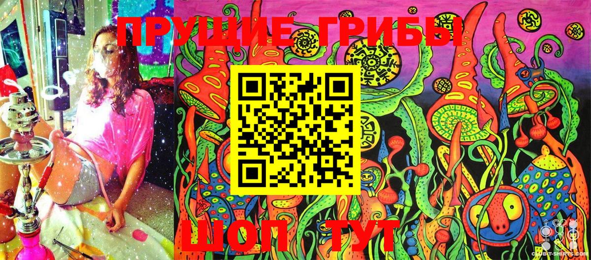 Псилоцибиновые грибы GOLDEN TEACHER  Галлюциногенные грибы Magic Shrooms  Вход с VPN  Карабулак 